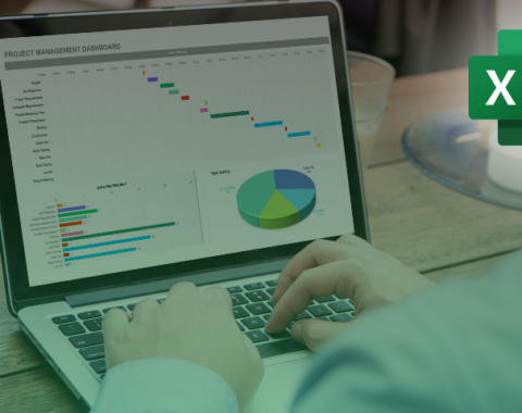 MS Excel 2016 Advanced