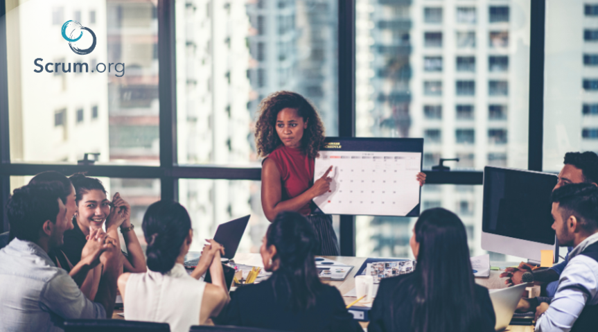Professional Scrum Master